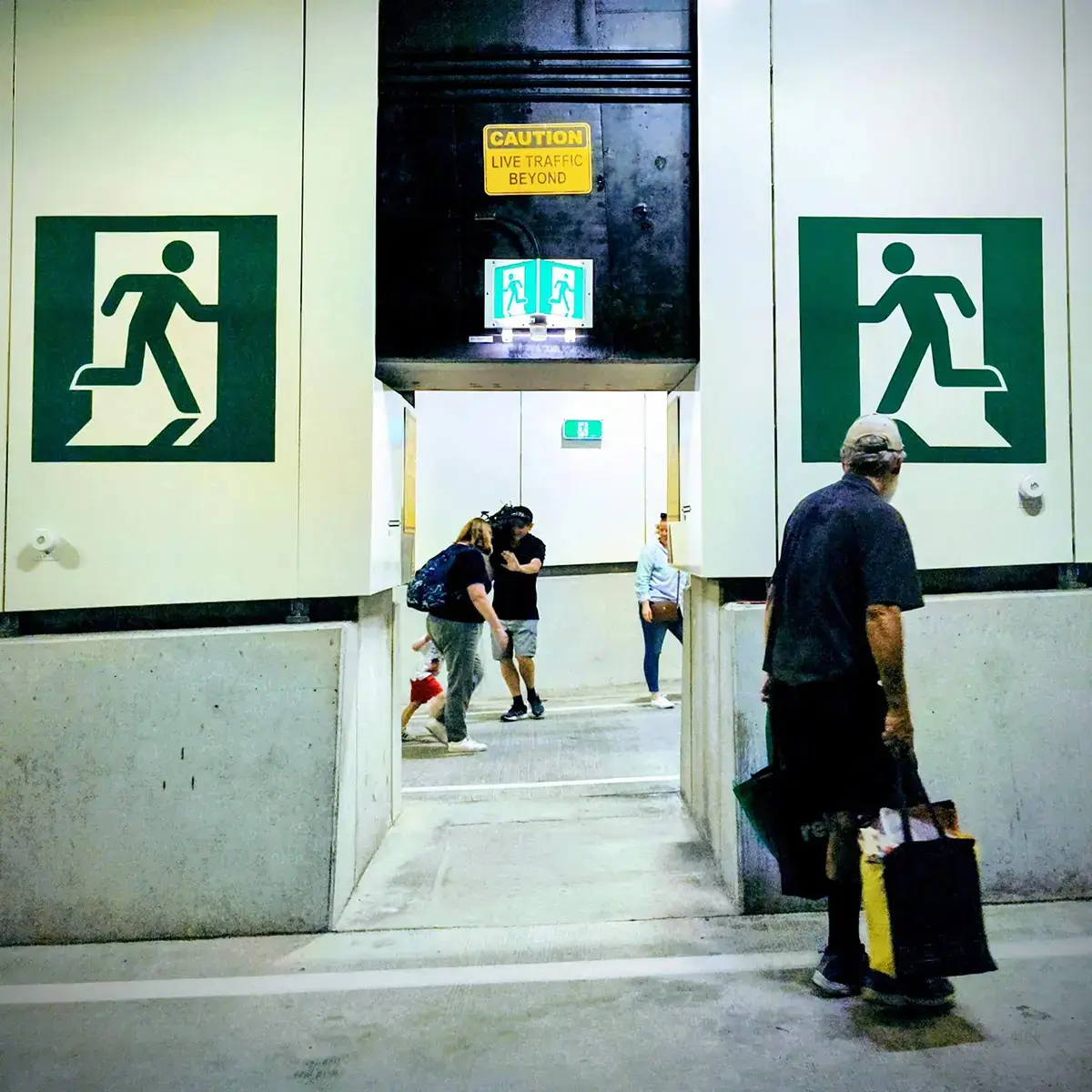 A shot of runner text in Elegantissima by Louise Fili